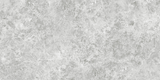 OREO SILVER GREY 300X600