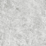 OREO SILVER GREY 600x600